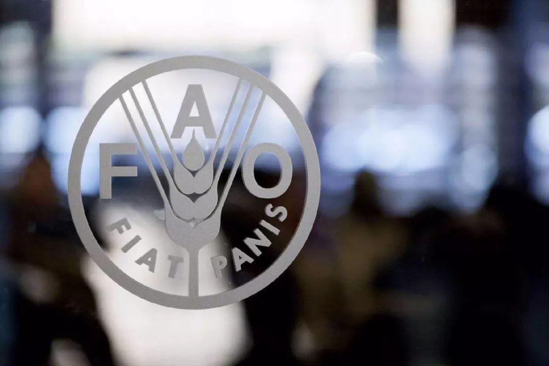 聯合國糧農組織總幹事祝賀中國消除貧困取得巨大成就