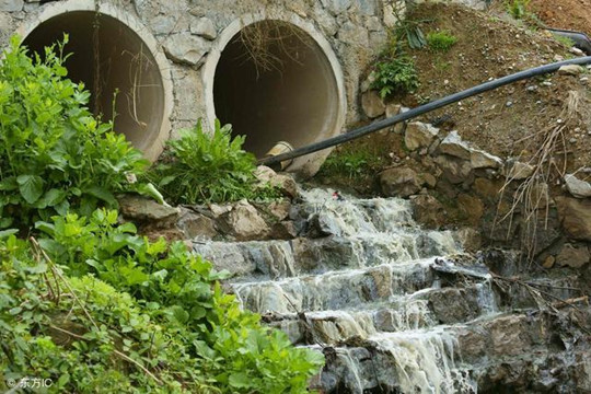 廣東3月起施行《排污許可管理條例》 最高罰款100萬元