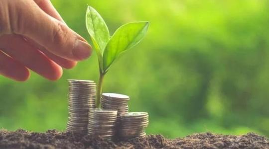 【兩會前瞻】專家指香港可擔好內地綠色金融橋樑