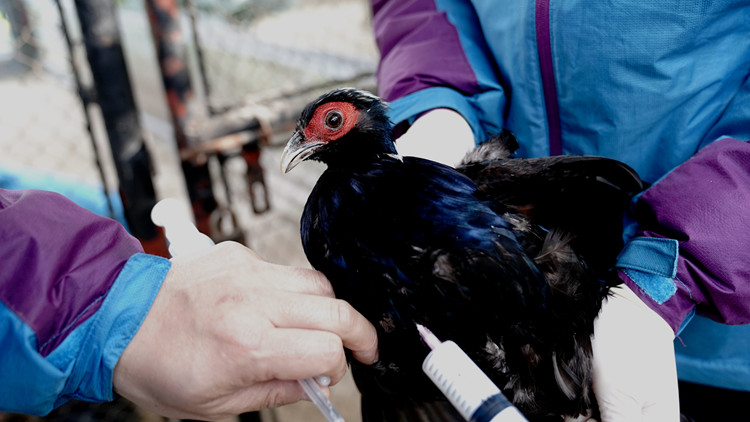 8月全國共報告法定傳染病482071例   死亡2077人