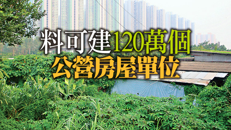 新地：釋放一成綠化地帶可令公屋量倍增