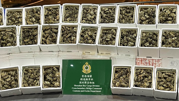 海關食環署檢獲懷疑走私大閘蟹及冷凍食品 4人被捕