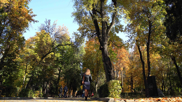 吉爾吉斯斯坦連鎖餐廳食物中毒事件：已致282人中招