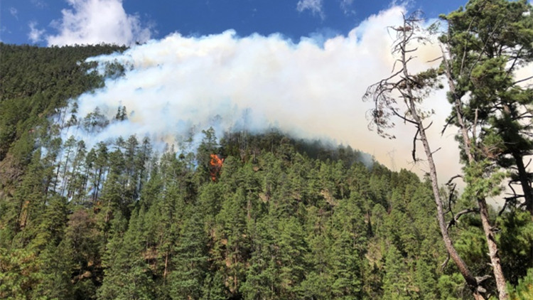 西藏察隅縣森林火災：已開挖隔離帶 村民已轉移