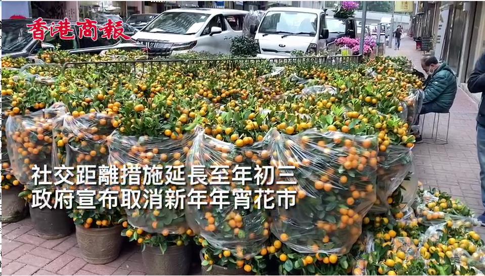 有片｜【年宵花市取消】花墟商販：坐了幾個鐘只賣出一盆