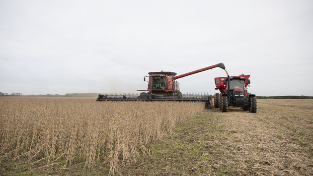 春節期間我國糧食供應有充分保障
