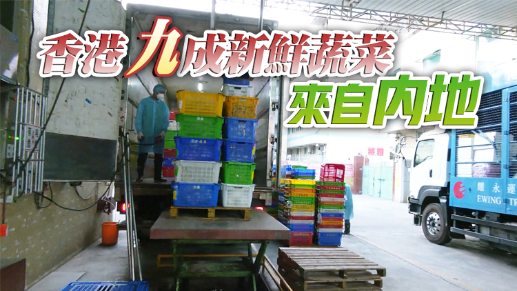 有片丨深圳設生鮮貨物供港專用口岸 保障本港蔬菜肉禽等供應
