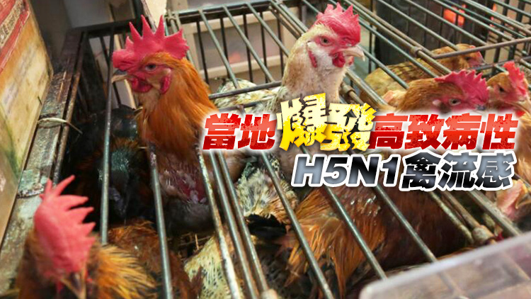 本港暫停進口英國部分地區禽肉及禽類產品