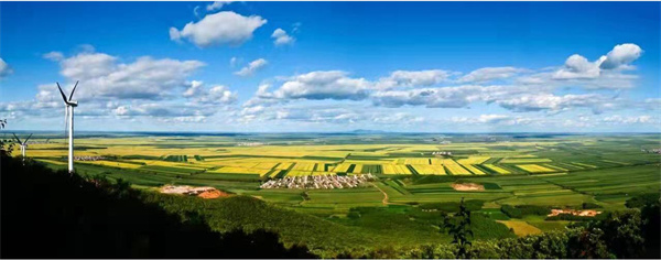 黑龍江：築牢「壓艙石」 讓中國飯碗裝更多優質龍江糧