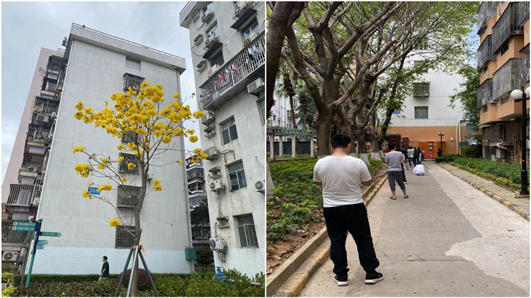 【深圳慢體驗】小區破防了人心依然安定