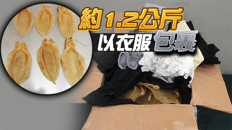 海關檢獲懷疑受管制石首魚花膠 市值約26萬元