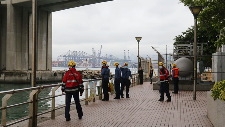20歲男子青衣南橋跳海 送院搶救惟最終不治