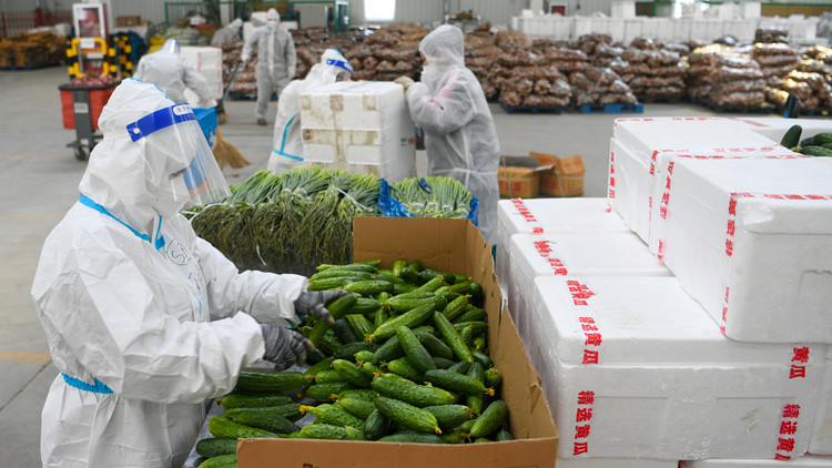 「晒晒我家蔬菜包」活動造成不良影響 長春2名幹部被處理