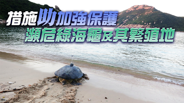 漁護署：今日起至10月31日市民勿進入南丫島深灣限制區