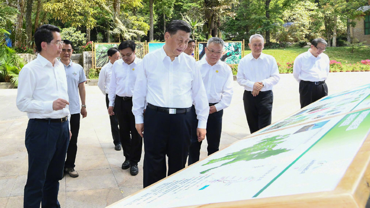 習近平在海南五指山市考察調研