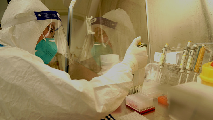 廣東4月24日新增本土確診3例 均在廣州