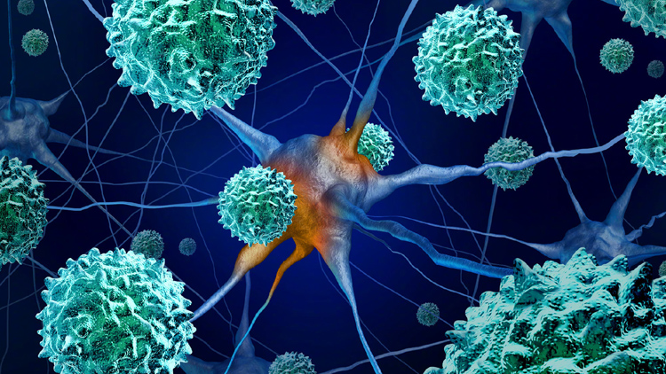 美國同一郵輪今年3次染疫遭調查