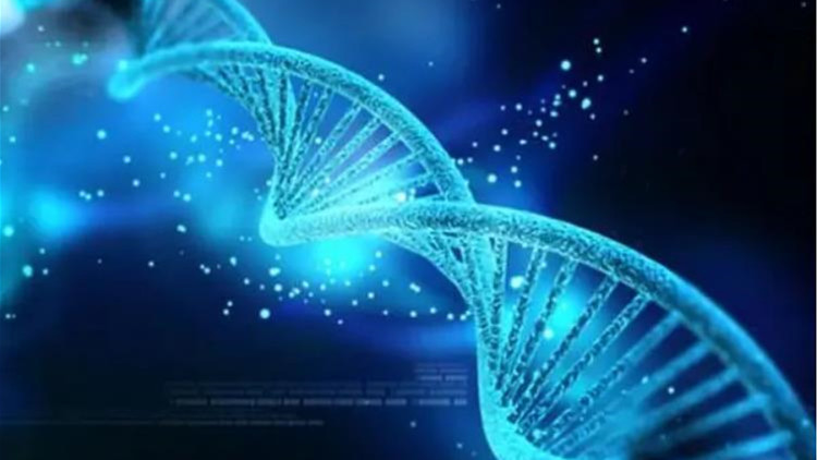 中國科學家發現扭轉衰老的關鍵因子