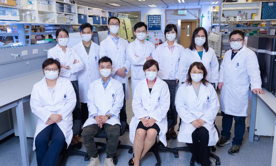 科大發現血液蛋白新靶點 開拓治療阿爾茲海默症新方向