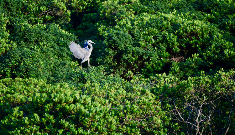 中方提交《中國落實國家自主貢獻目標進展報告（2022）》