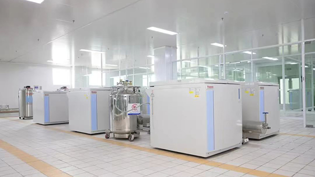 大灣區主流媒體看長沙：營商環境賦能企業高速發展 長沙經開區打造強省會主引擎