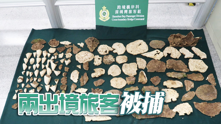 海關深圳灣管制站檢獲約13.2公斤走私沉香木 市值約106萬元