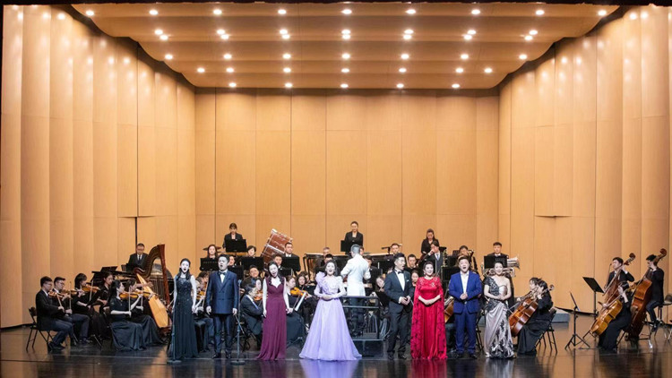 中國經典民族歌劇精彩開唱!深圳龍崗歌劇周拉開帷幕