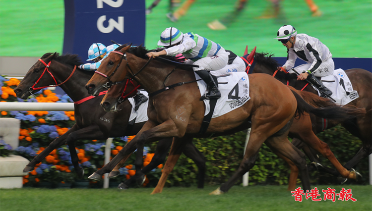 有片丨克服十四檔力壓蔡廄雙雄 遨遊氣泡爆46倍冷門贏打吡