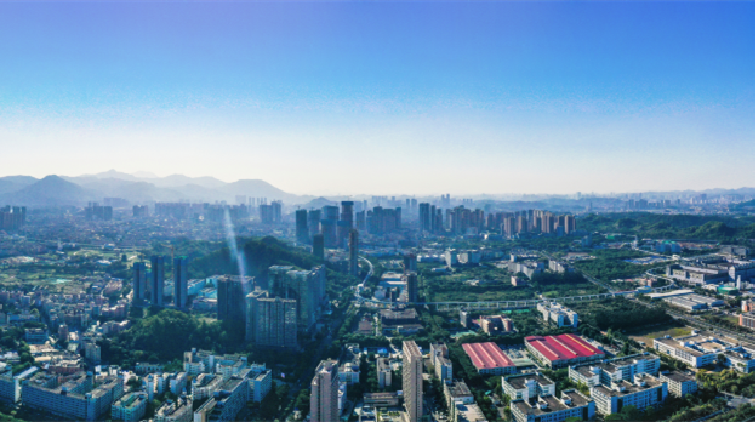 創新坪山香港行！推動兩地全方位交流合作