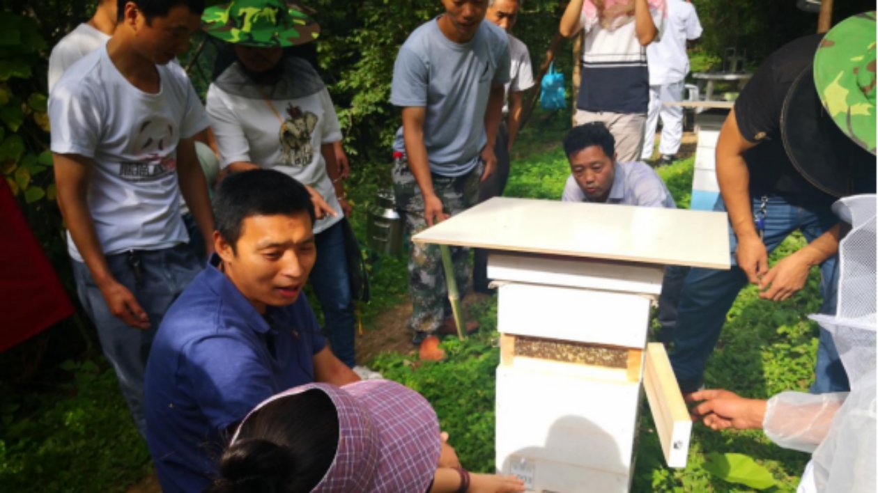 四川平武：搭建「四個平台」 破解人才「內存」不足難題