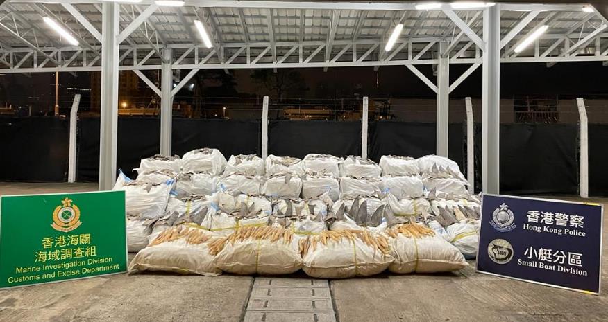 警方大嶼山打击走私 緝獲150萬元魚翅魚肚拘兩內地男