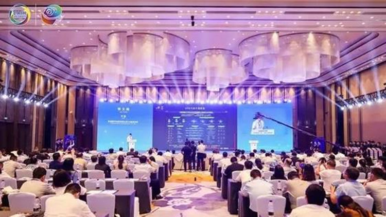 粵港澳大灣區新僑獻計南寧