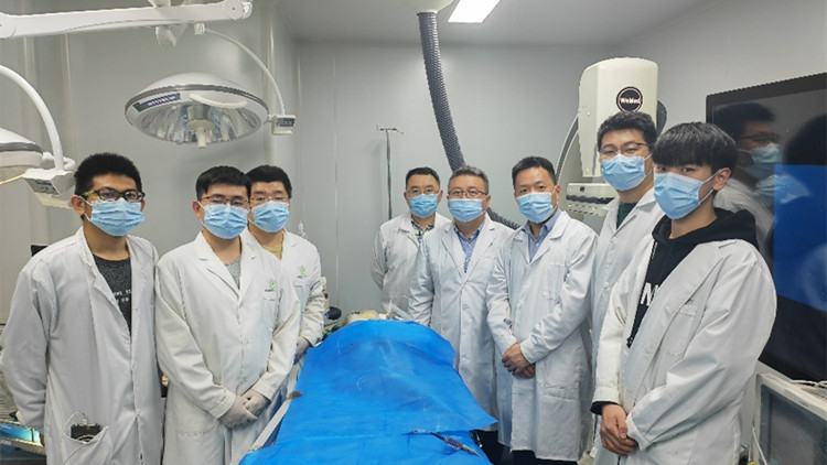 全球首例！中國成功完成非人靈長類動物介入式腦機接口試驗