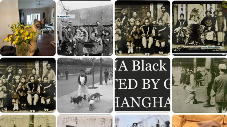 李大釗孫女李虹去世 生前是百萬粉絲博主