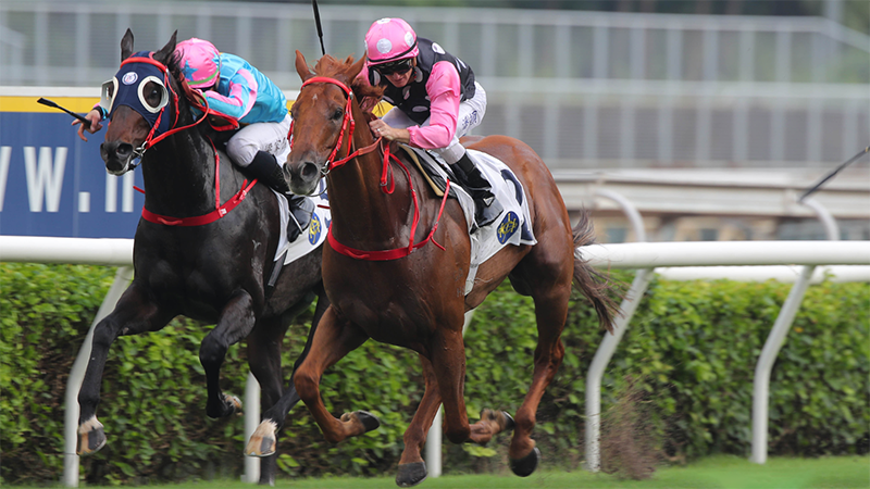 有片｜永遠美麗自勝者強大熱掄元 潘頓蔡約翰包辦兩盃