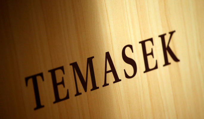 淡馬錫年回報負5.07% 七年來最差