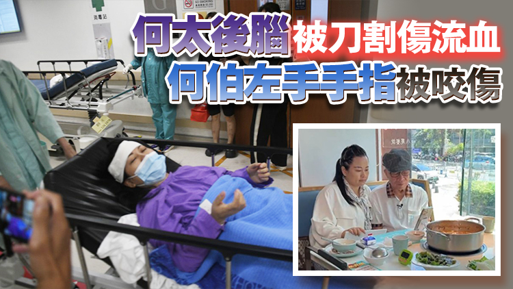 何伯疑因何太返內地爭執互襲 2人被捕 何太被控傷人罪