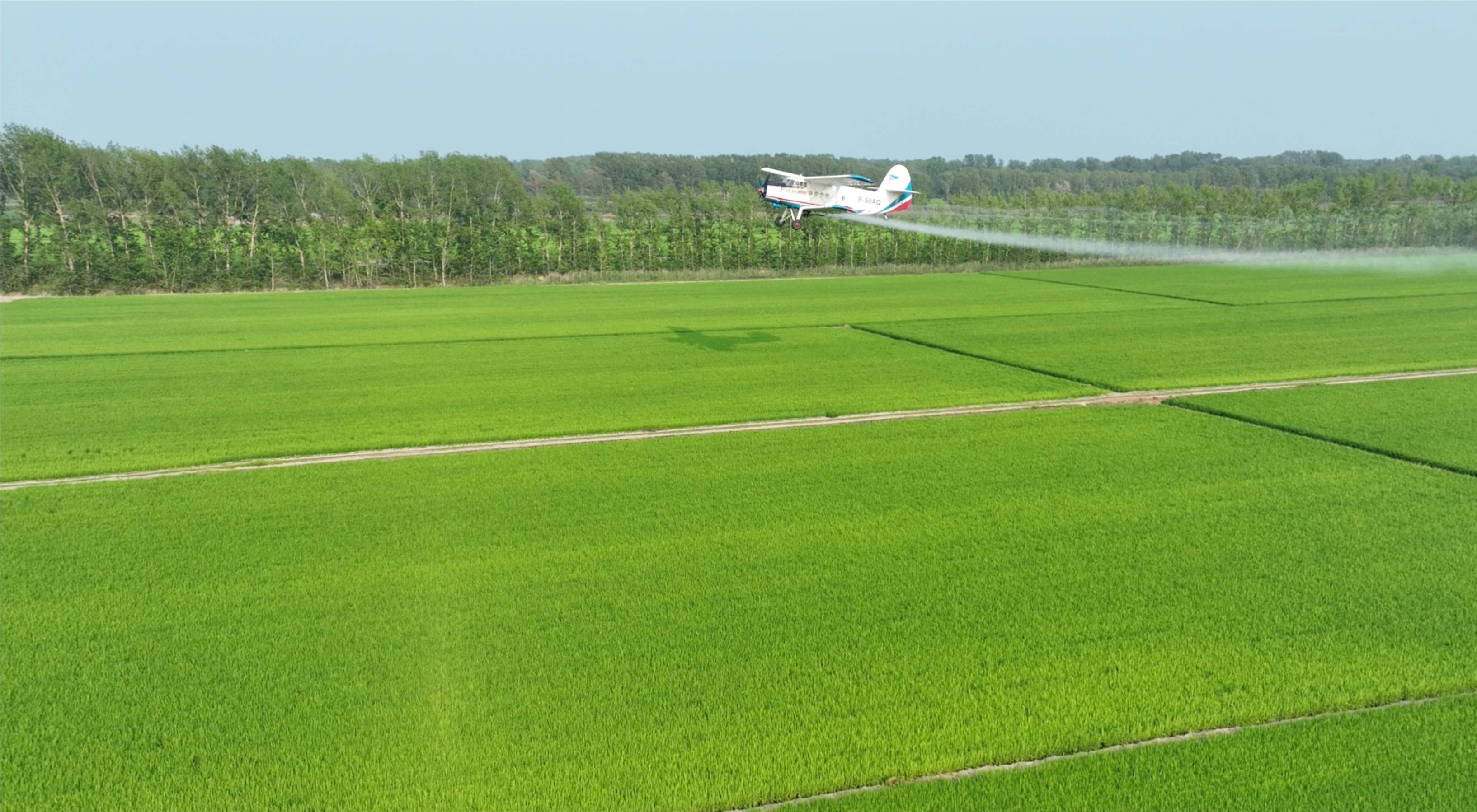 北大荒江濱分公司「智慧夏管」賦能豐收底蘊