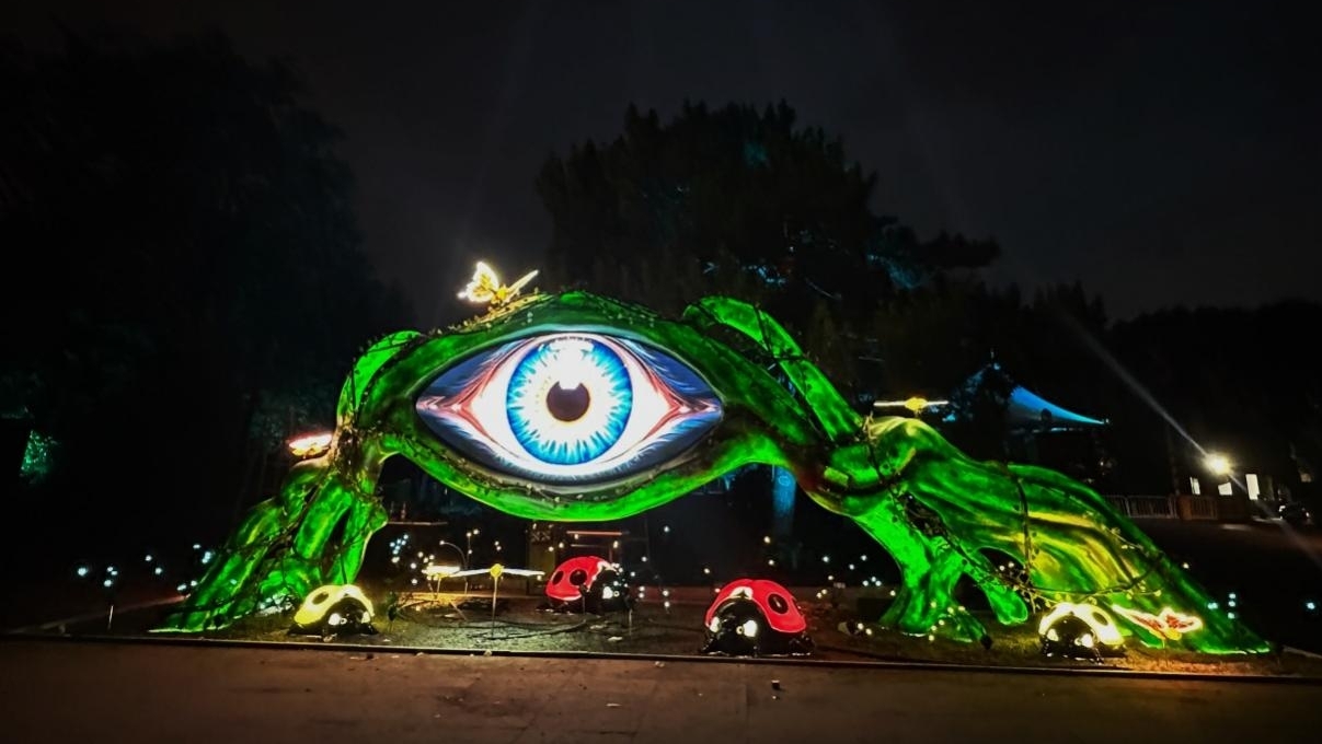 瀋陽植物園「沐光森林夜遊+仲夏花海」啟幕25℃奇幻夏夜解鎖消暑新體驗