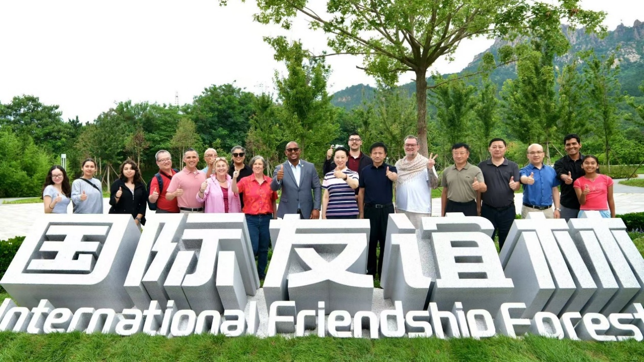 青綠枝丫下的時光信箋：青島與長灘共赴十年之約