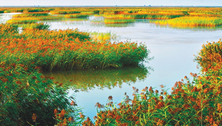 河海織脈 多元共生 盤錦以文化厚植城市發展根魂