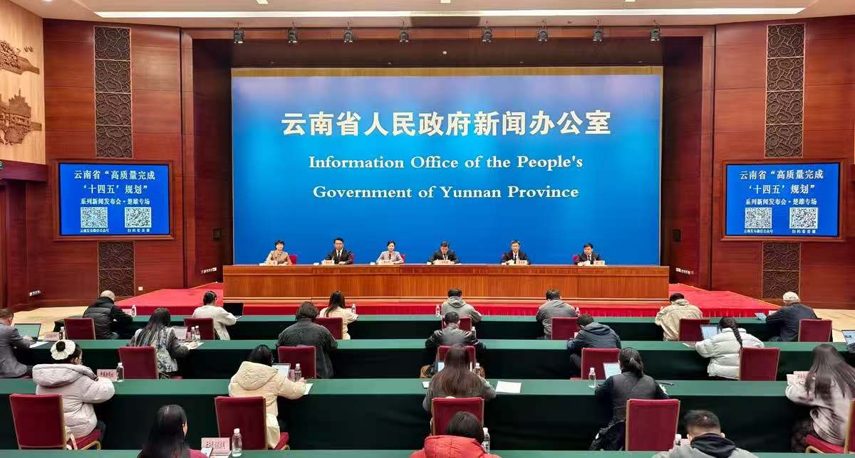 「十四五」楚雄高質量發展  「楚雄彝繡」織造新圖景