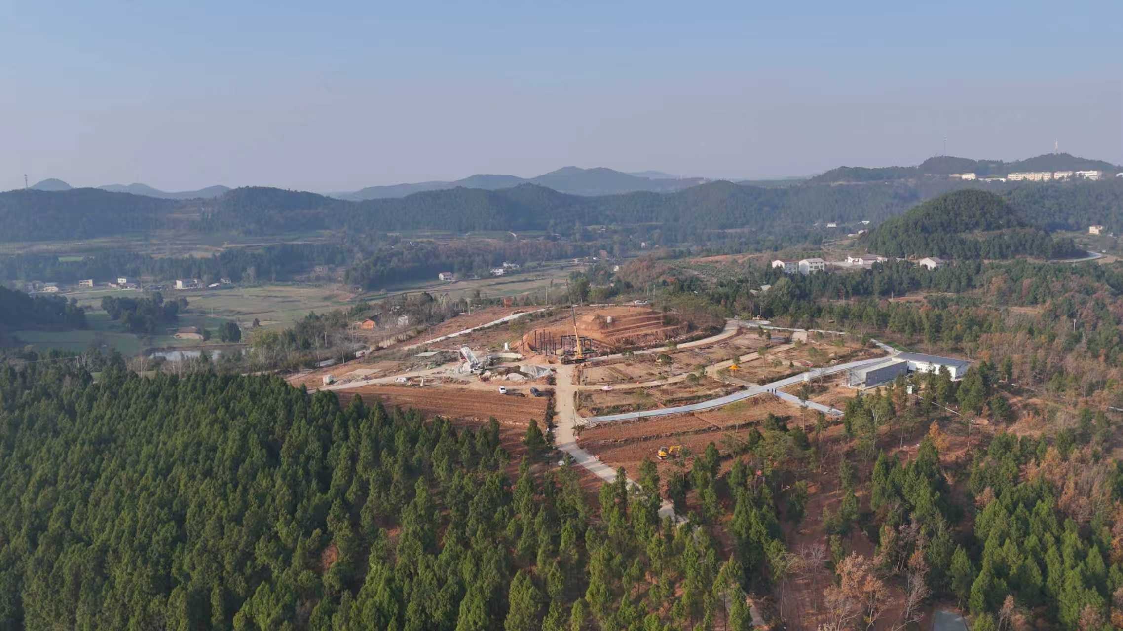 閒置荒山變「金色銀行」 四川梓潼釋放「森林四庫」無窮潛力