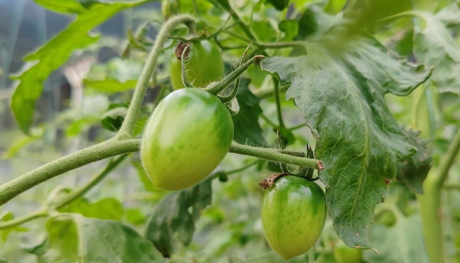 【視聽山東】大自然雕琢的「藝術品」