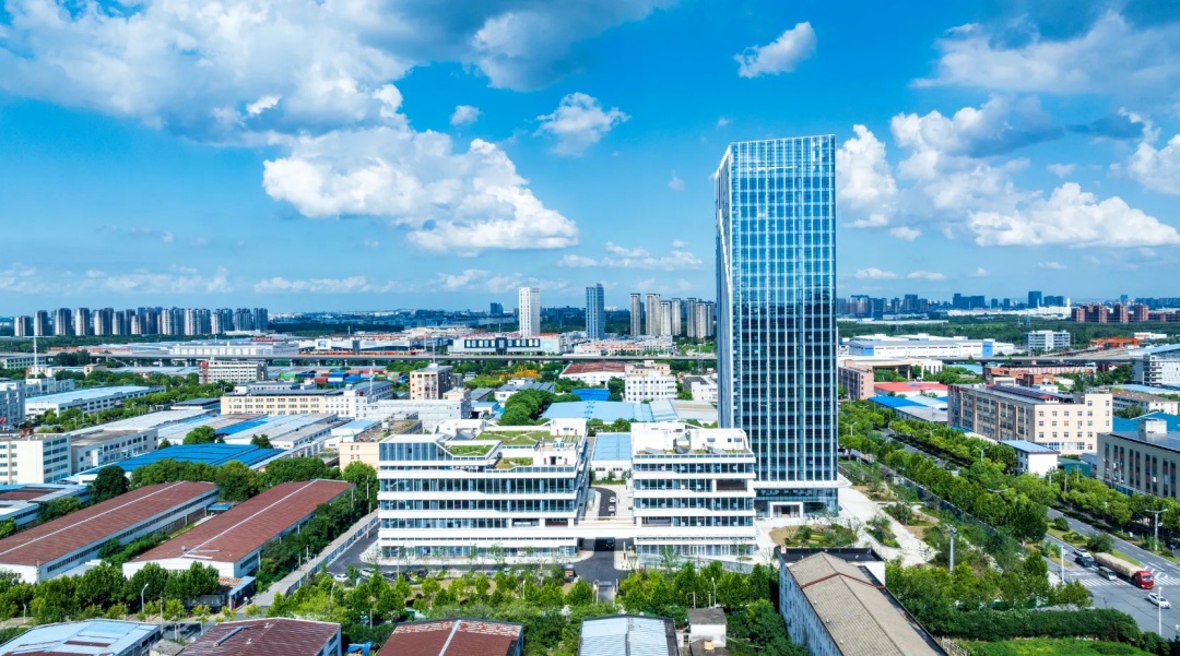 合肥廬陽，「畝均效益」全省領跑!