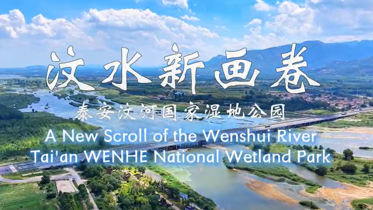 【視聽山東】在泰山與徂徠山之間，汶河濕地揮灑出詩意畫卷