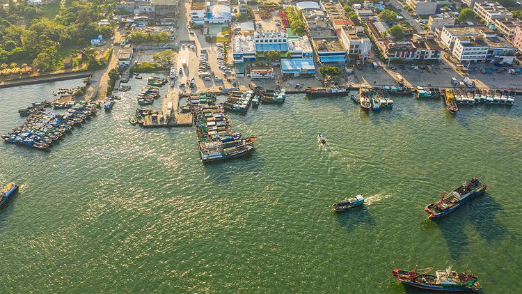 海南自貿港封關首周進口「零關稅」享惠貨物超4億元