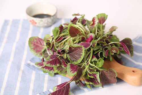 1628595520642626.jpg 1628595520642626.jpg