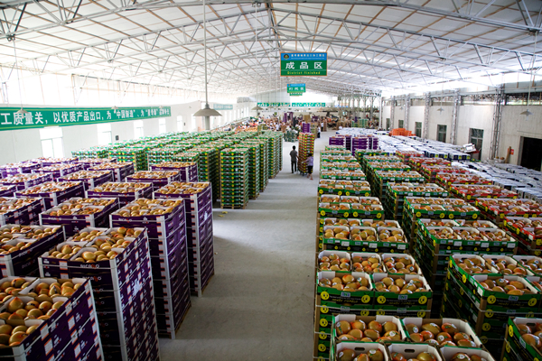 1628845610723619.jpg 0813-mz01.jpg