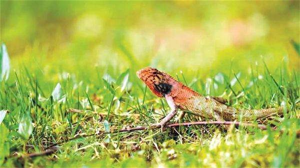 1629083675958351.jpg 1.jpg